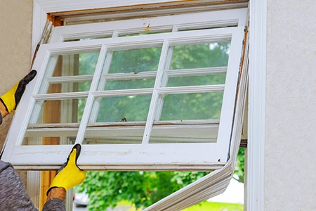Window Replacement in Coconut Creek, FL